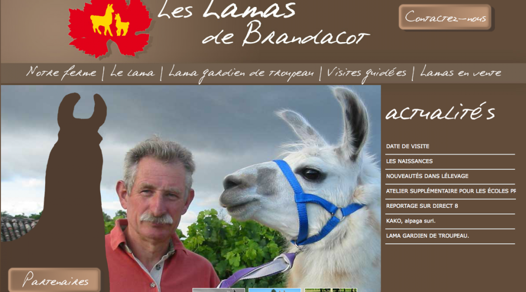 lamas